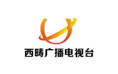 西畴广播电视台