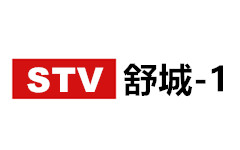 舒城新闻综合频