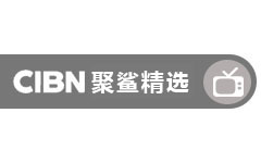 CIBN聚鲨精选