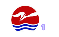 如东新闻综合频