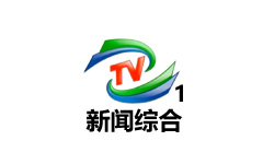 郑州新闻综合频