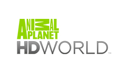 Animal Planet world