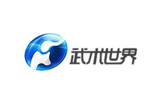 河南武术世界频