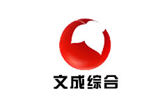 文成综合频道