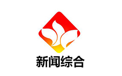 岳西新闻综合频道