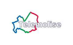 Telemolise