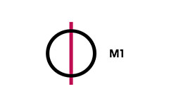 M1