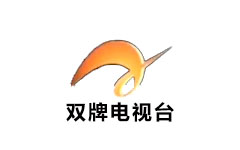 双牌县电视台