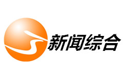 江夏新闻综合频道