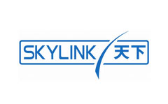 Sky Link TV