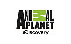 Animal Planet Discovery