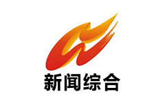 湾沚新闻综合频