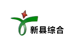 新县综合频道