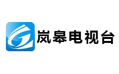 岚皋电视台