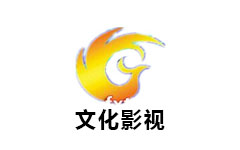 凤翔文化影视频