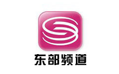 深圳东部频道