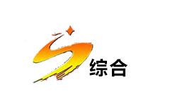 绥中综合频道