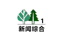 桐柏新闻综合频
