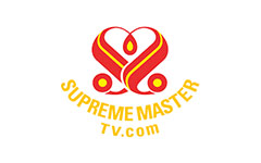 Supreme Master TV