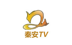 秦安县电视台
