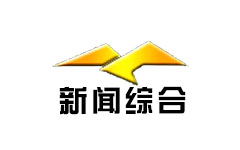 岳阳县新闻综合