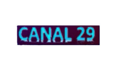 Canal 29