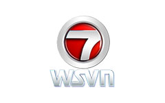 WSVN