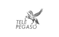 Tele Pegaso