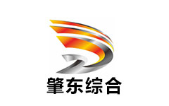 肇东综合频道