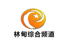 林甸综合频道