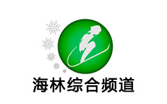 海林综合频道