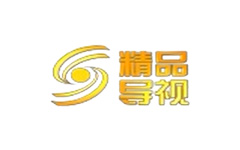 精品导视