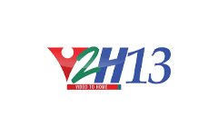 V2H13