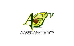 Aguacate TV