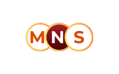 MNS News TV